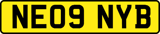 NE09NYB