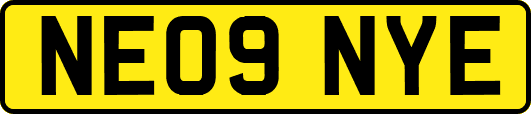 NE09NYE
