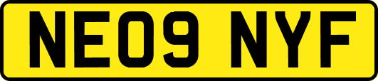 NE09NYF