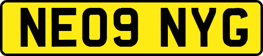 NE09NYG