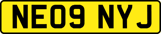 NE09NYJ