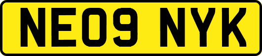 NE09NYK