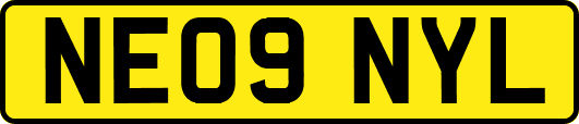 NE09NYL
