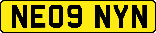NE09NYN