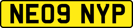 NE09NYP