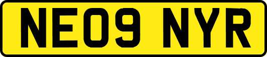 NE09NYR