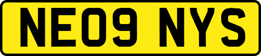 NE09NYS