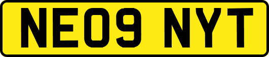 NE09NYT
