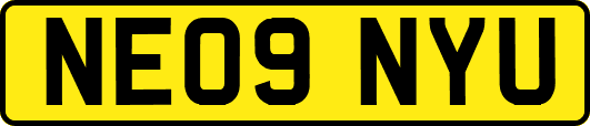 NE09NYU