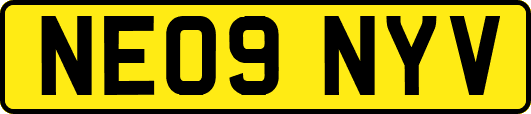 NE09NYV