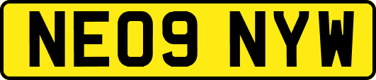 NE09NYW