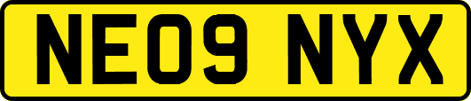 NE09NYX