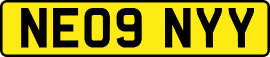 NE09NYY