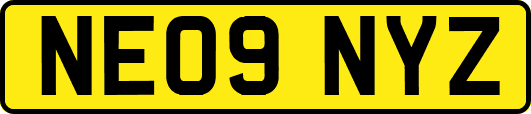 NE09NYZ