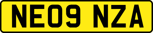 NE09NZA