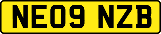 NE09NZB
