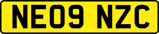 NE09NZC