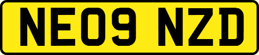 NE09NZD