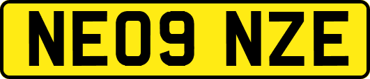 NE09NZE