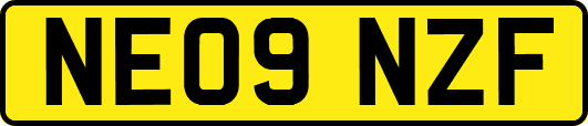 NE09NZF