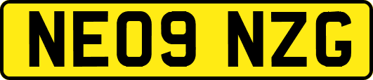 NE09NZG