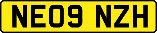 NE09NZH