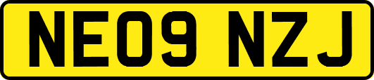NE09NZJ