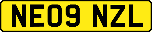 NE09NZL