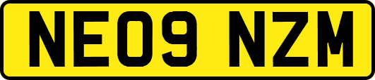 NE09NZM