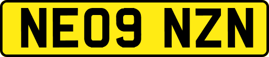 NE09NZN