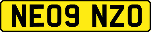 NE09NZO