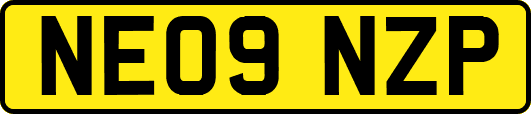 NE09NZP