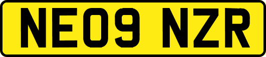 NE09NZR