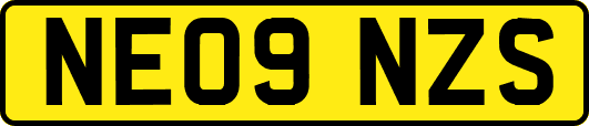 NE09NZS