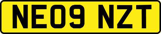 NE09NZT