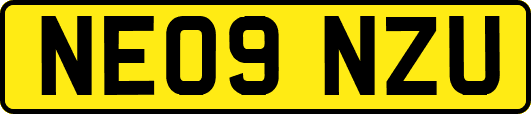 NE09NZU