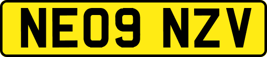 NE09NZV