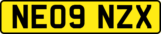 NE09NZX