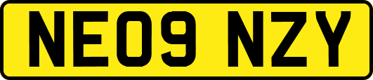 NE09NZY