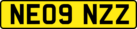 NE09NZZ