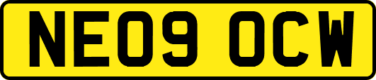 NE09OCW