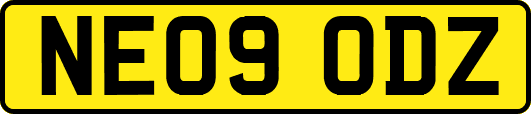 NE09ODZ