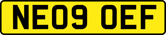 NE09OEF