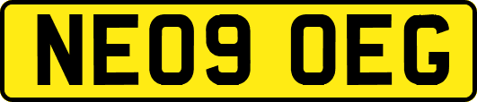 NE09OEG