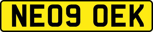 NE09OEK