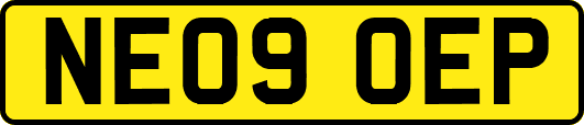 NE09OEP