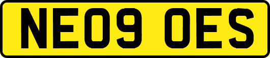 NE09OES