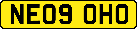 NE09OHO