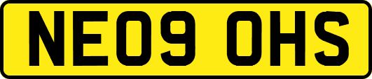 NE09OHS