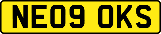 NE09OKS